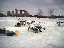 At Mayfair Park.  In the background, the snow plow.  Also visible are the big and little sociables, tadpole trike; all built by Joe Mitrovic. Also in the picture are Jay Dixon's Greenspeed velomobile and Lawrence's bike.