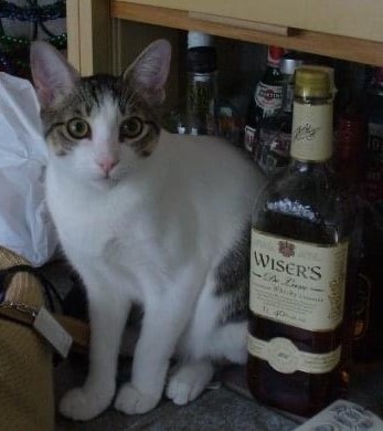Whiskey